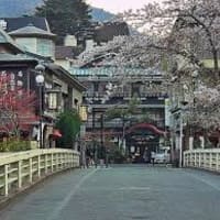 東京都立川市コンパニオン派遣